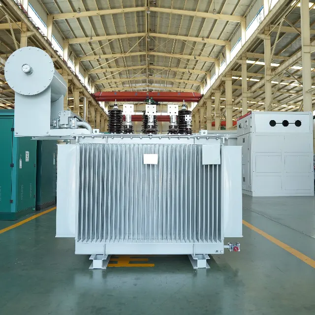 Oil-immersed transformer
